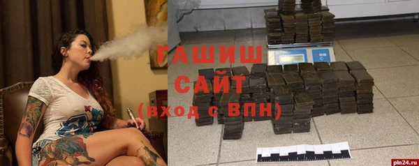 гашик Алексин