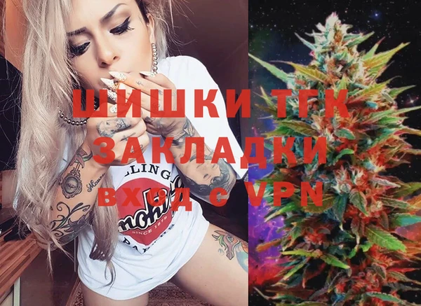 сатива Сосновый Бор