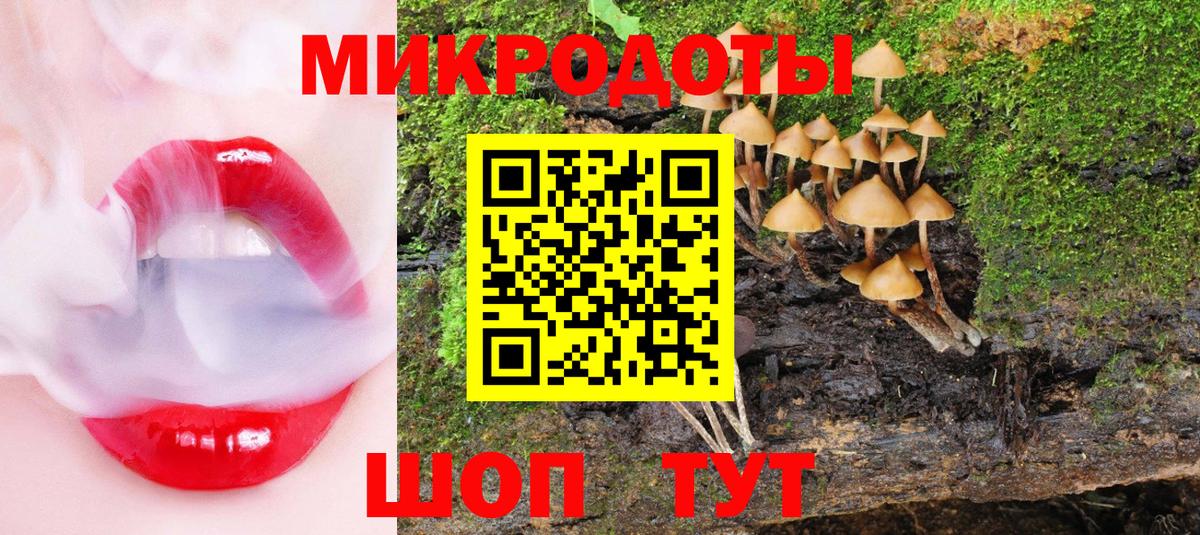Галлюциногенные грибы Magic Shrooms  наркотики  Псилоцибиновые грибы ЛСД  Кашира  Вход с VPN 